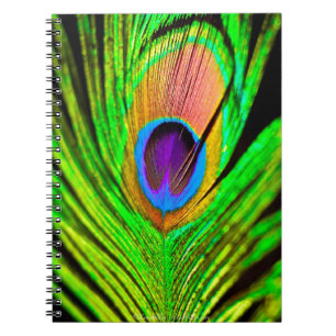 Neon Colors Peacock Feather Notizblock