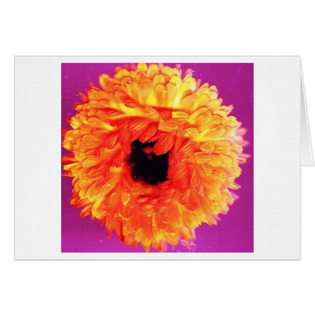 NÉON FIORI (Devant horizontal)