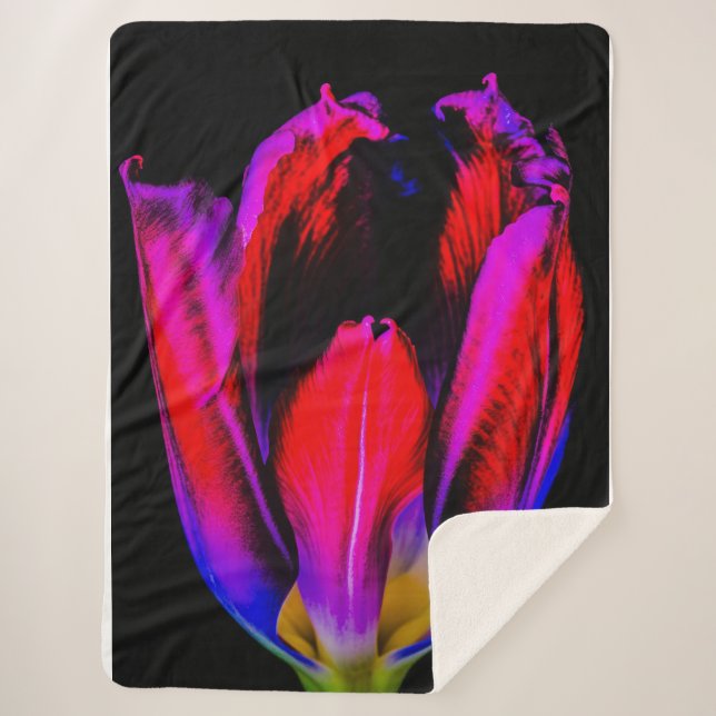 Neon Glow Tulip Sherpadecke (Vorderseite)