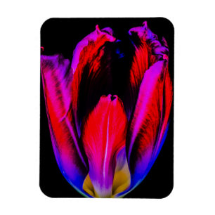 Neon-Glow-Tulpe Magnet