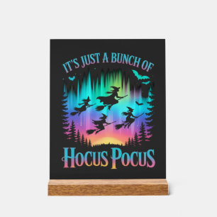 Neon-Halloween-Hexen Png Acrylschild
