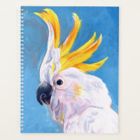 Neon Mohawk - Cockatoo