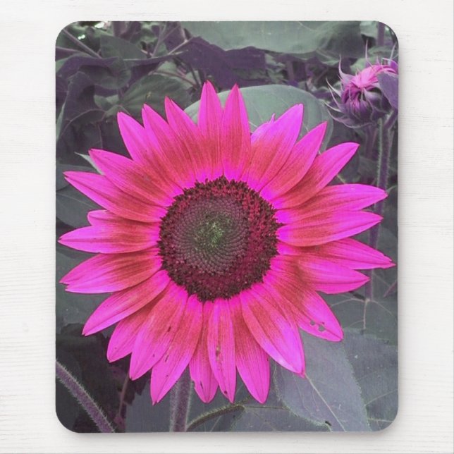 Neon Pink Sunflower Mousepad (Vorne)