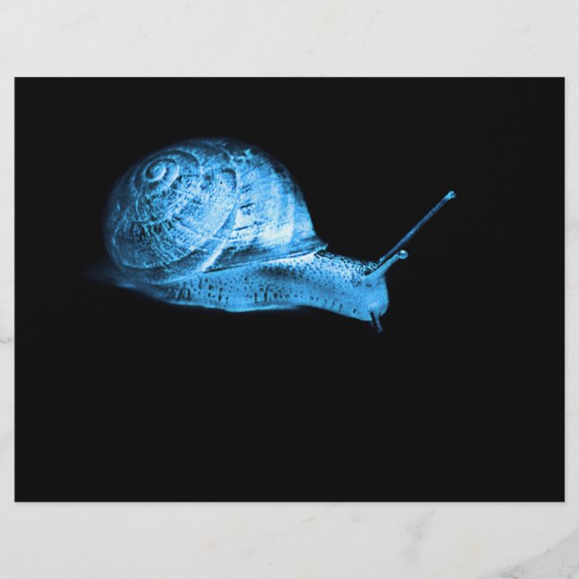 Neon snail (Vorderseite)