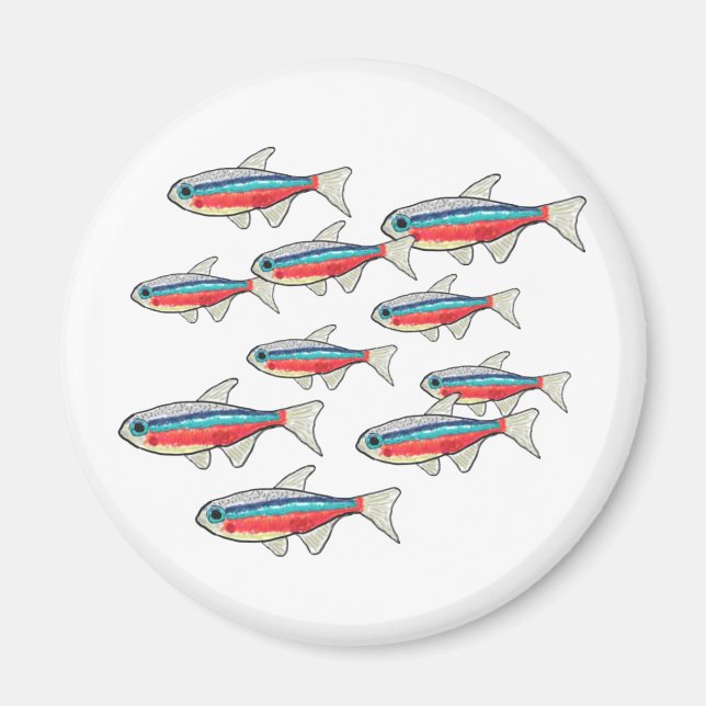 Neon Tetra Magnet (Vorne)
