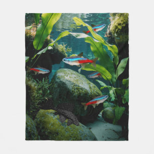 Neon Tetras Plecostomus Aquarium Fish Tank Lovers Fleecedecke