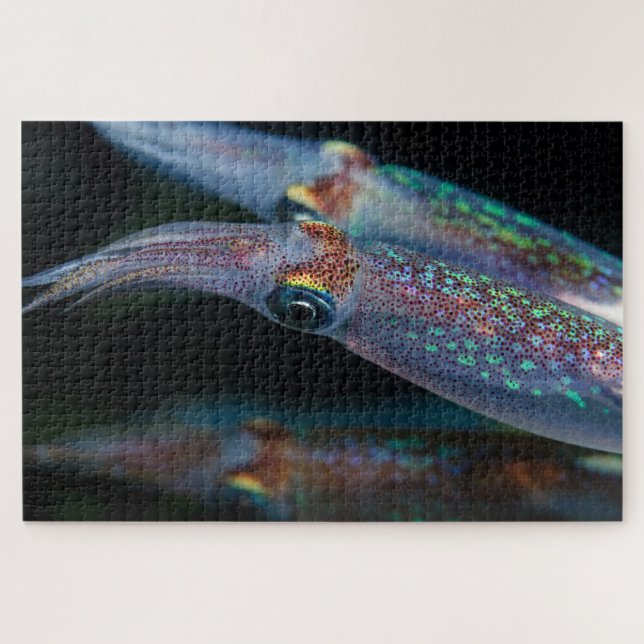 Neon Tintenfisch bei Nacht 20"x30" (Horizontal)