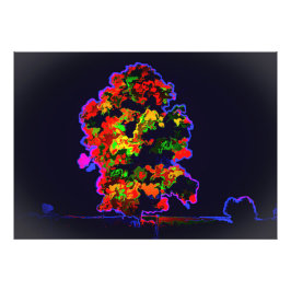 Neon Tree Explosion Fotodruck