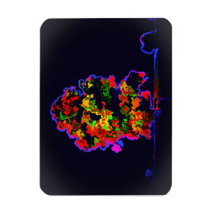 Neon Tree Explosion Magnet