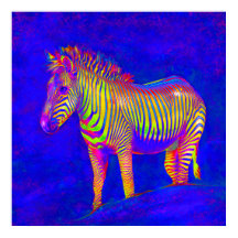 Neon Zebra 2