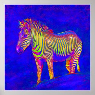 Neon Zebra 2 Poster