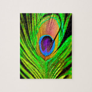 Neonfarben Pfauenfeder