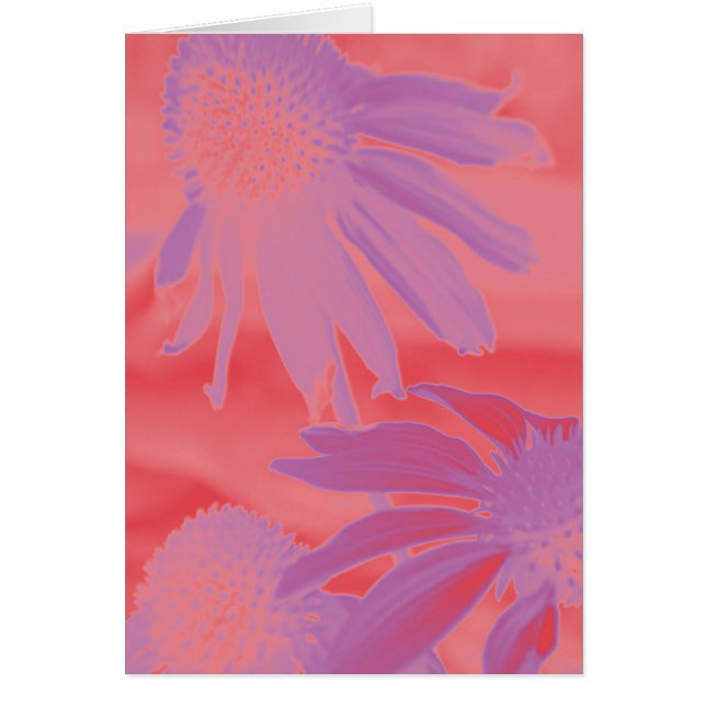 Neonglühen des Echinacea-#9 (Vorne)