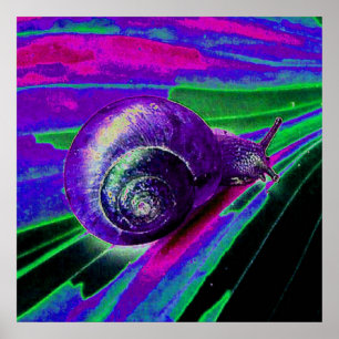Neonschnecke Poster