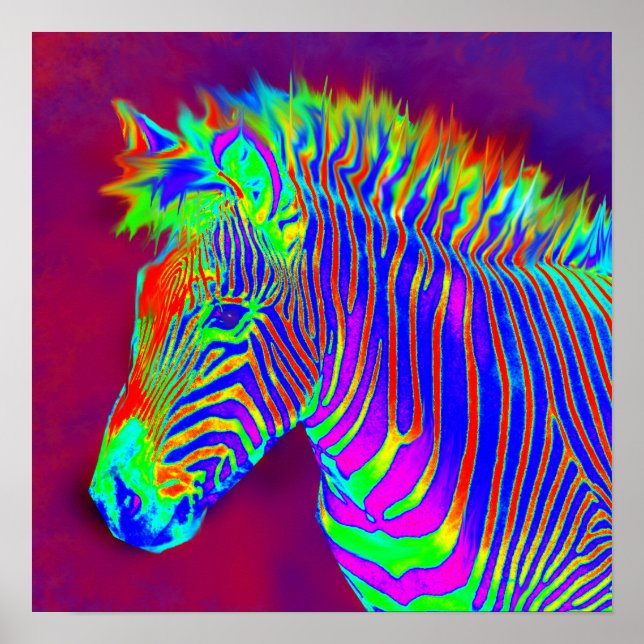 Neonzebra Poster (Vorne)