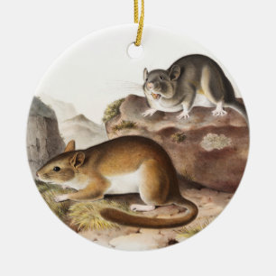NeotomaMaus (Neotoma Drummondii) Keramik Ornament