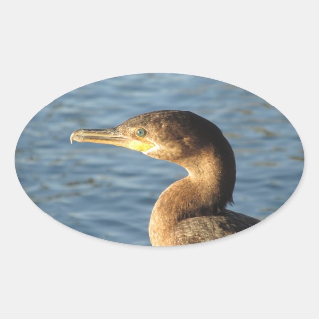 Neotropic Kormoran Ovaler Aufkleber (Vorderseite)