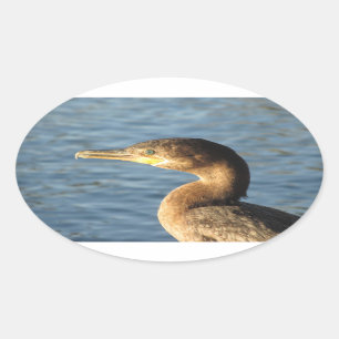 Neotropic Kormoran Ovaler Aufkleber