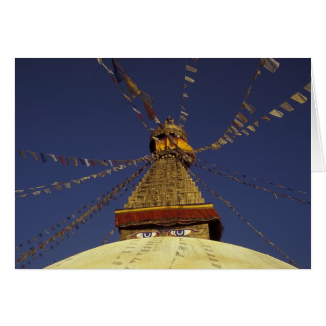 Nepal, Kathmandu. Unter Gebetsfahnen, wachsam (Vorderseite (Horizontal))