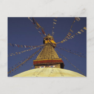 Nepal, Kathmandu. Unter Gebetsfahnen, wachsam Postkarte
