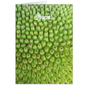 Nepalesischer Jackfruit