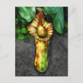 Nepenthes, Illustration der Pitcher-Pflanze Postkarte