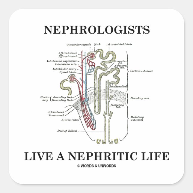 Nephrologen leben ein nephritisches Leben. Quadratischer Aufkleber (Vorderseite)