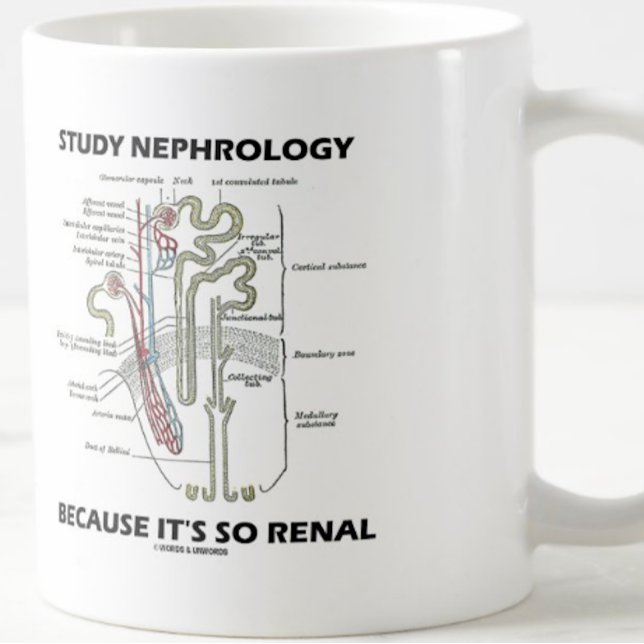 Nephrologie studieren, weil es so ein Nieren-Nephr Kaffeetasse (Nephrologists will enjoy this medical truism advice mug featuring a kidney's nephron)