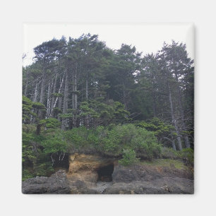 Neptune Staat Park, OR Magnet