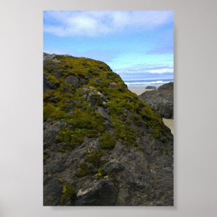 Neptune Staat Park, OR Poster