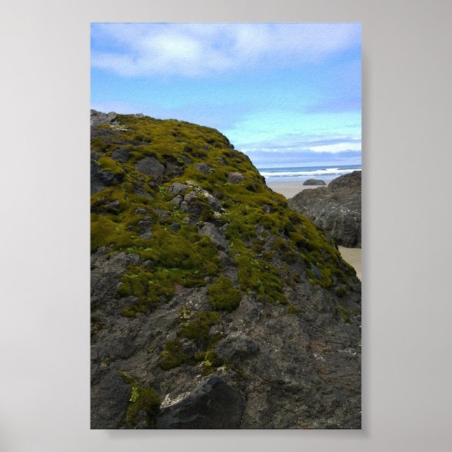 Neptune Staat Park, OR Poster (Vorne)
