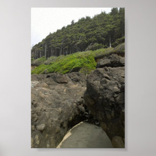 Neptune Staat Park, OR Poster