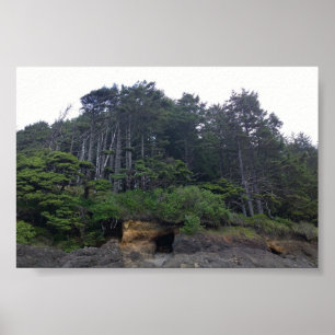 Neptune Staat Park, OR Poster