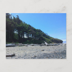 Neptune Staat Park, OR Postkarte