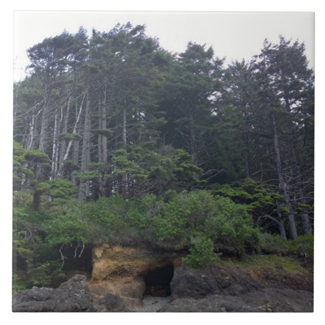 Neptune State Park, OR Fliese (Vorderseite)