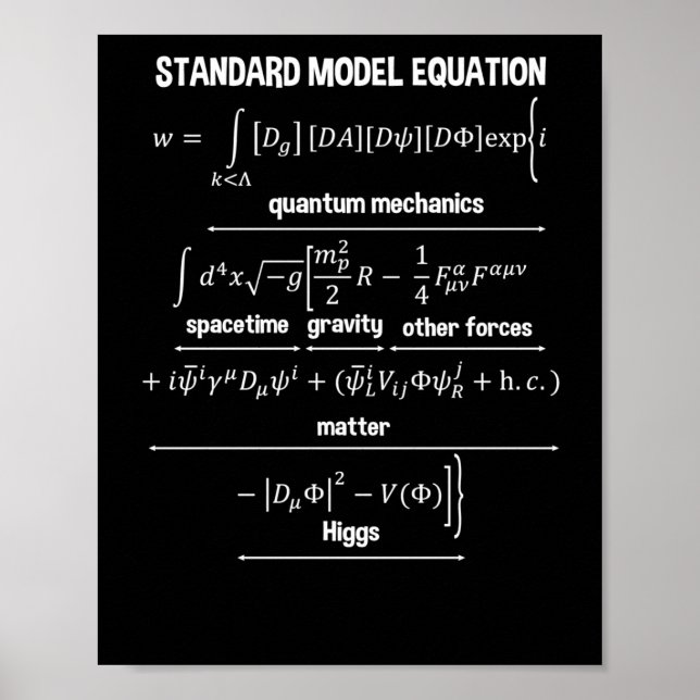 Nerdy Standard Model Equation - Geschenk für Physi Poster (Vorne)