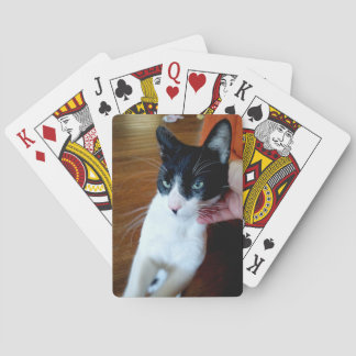 Nero die Katze Spielkarten