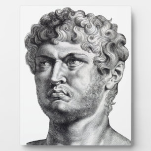 Nero Fotoplatte
