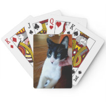 Nero the cat - Fahrradkarten