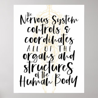 Nervensystem Poster, Chiropraktik Poster, Chiro  Poster