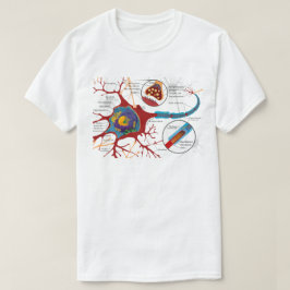 Nervenzelldiagramm  T-Shirt