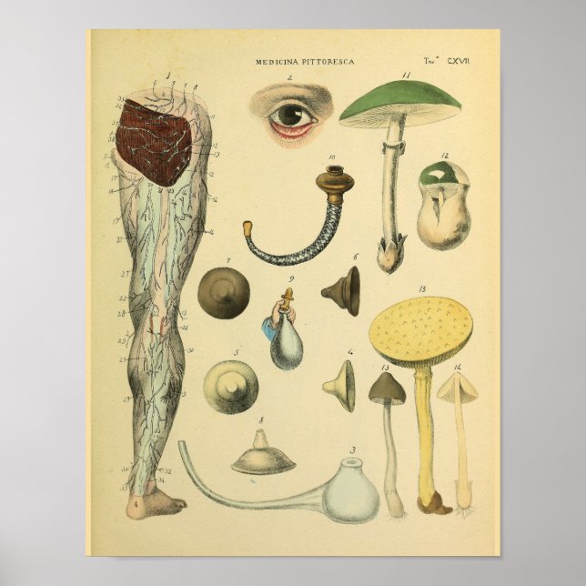 Nerves Anatomie Vintage Medizin Poster (Vorne)