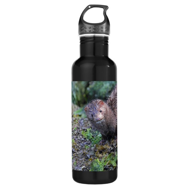 Nerz-Foto-Nahaufnahme Edelstahlflasche (Vorderseite)