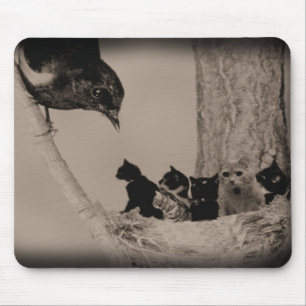 Nest der Katzen Mousepad