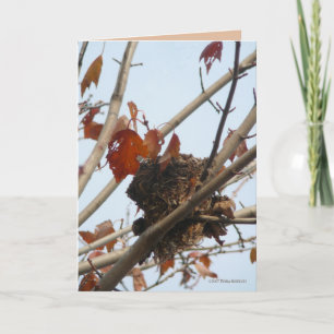 Nest enthüllt karte