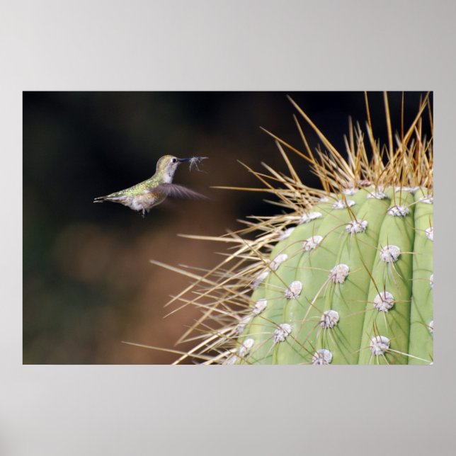 Nest Maker Poster (Vorne)