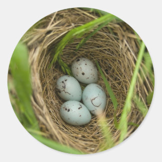 Nestful of Eggs Runder Aufkleber