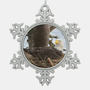 Nesting Bald Eagle Schneeflocken Zinn-Ornament
