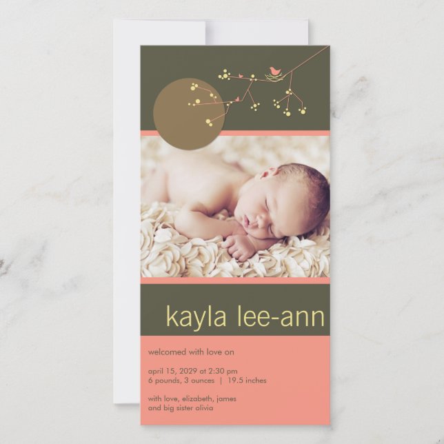 Nesting Bird & Family Baby Girl Birth Ankündigung (Vorderseite)