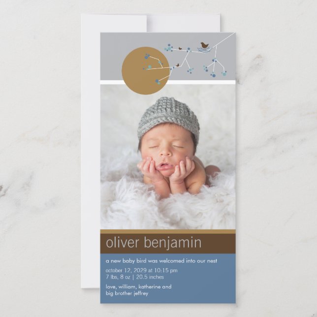 Nesting Bird Family Simple Baby Boy Foto Birth Ankündigung (Vorderseite)
